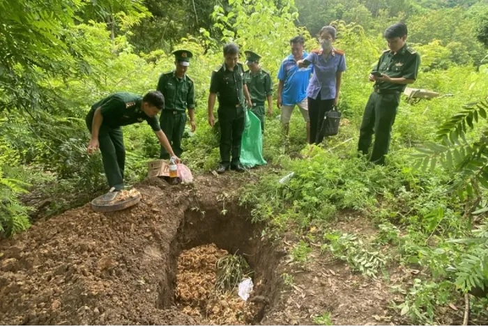 Lực lượng chức năng địa phương tiến hành tiêu huy số hàng hóa nghi là sâm.