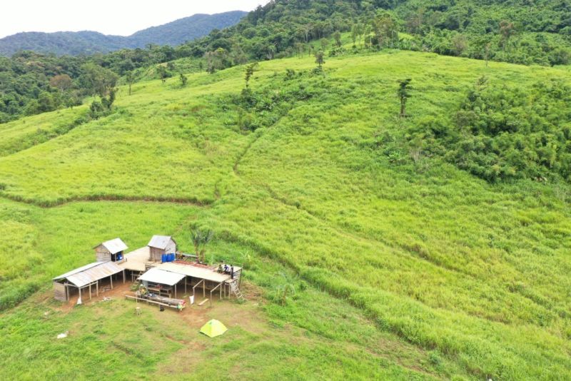 Vẻ đẹp của thảo nguyên Tà Giang mê đắm lòng người.