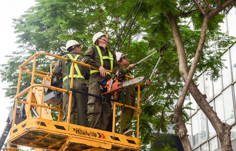 Ảnh minh họa, nguồn internet.