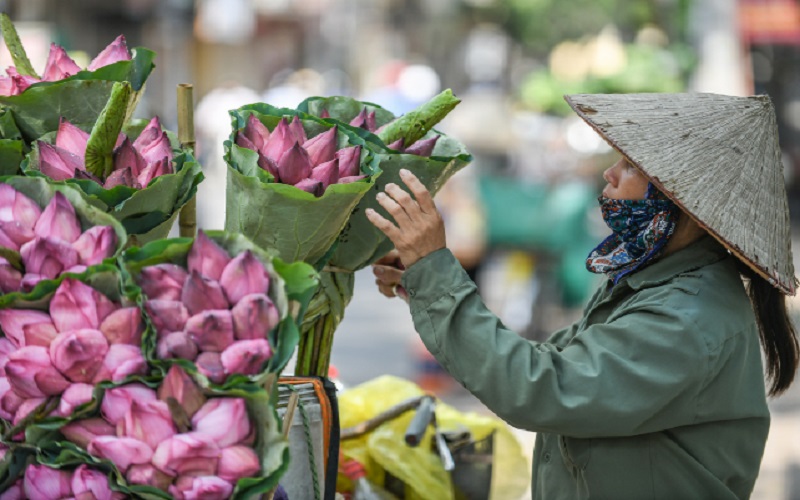 Hôm nay, Bắc Bộ mưa dông gia tăng, trời dịu mát. Ảnh minh họa: hanoi.gov.vn