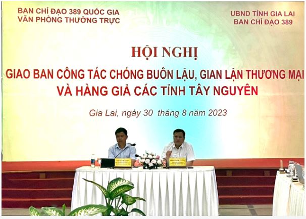 Đồng chí Trịnh Mạnh Cường, Phó Chánh Văn phòng, Văn phòng Thường trực Ban Chỉ đạo 389 quốc gia và đồng chí Nguyễn Hữu Quế, Phó Chủ tịch UBND tỉnh Gia Lai, Trưởng Ban Chỉ đạo 389 tỉnh đồng chủ trì Hội nghị. Ảnh: Ngô Khắc Quý