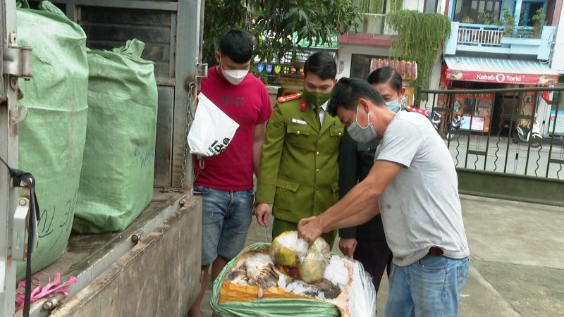 Bắt giữ một ô tô chở hơn một tấn nội tạng động vật không rõ nguồn gốc ở Thừa Thiên Huế