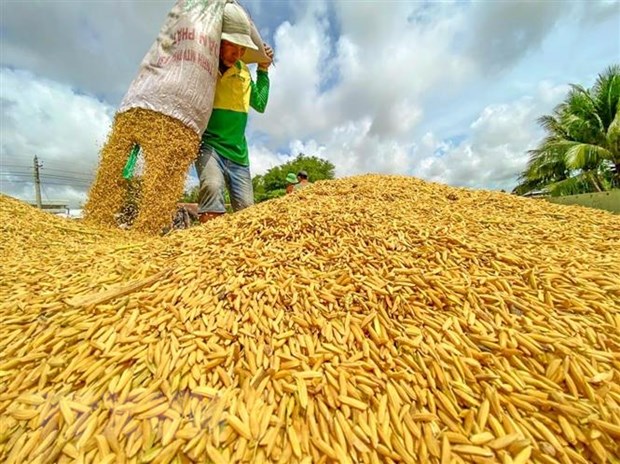 Festival Lúa gạo Việt Nam lần thứ 5: Tỏa sáng thương hiệu gạo Việt Nam