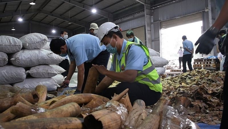 Tăng cường kiểm soát hàng hóa xuất nhập khẩu trong Danh mục CITES