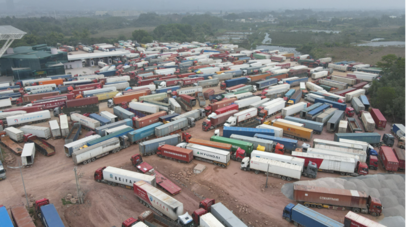 600 container hàng nằm chờ thông quan tại cửa khẩu Móng Cái