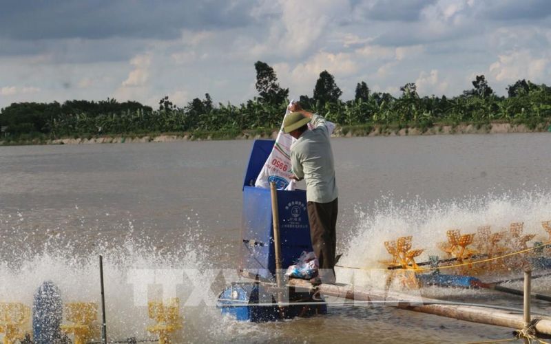 Giá nhiều loại thủy sản ở Trà Vinh tăng cao