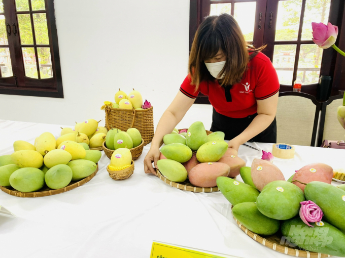 Xuất khẩu lô xoài đầu năm của Đồng Tháp sang Châu Âu