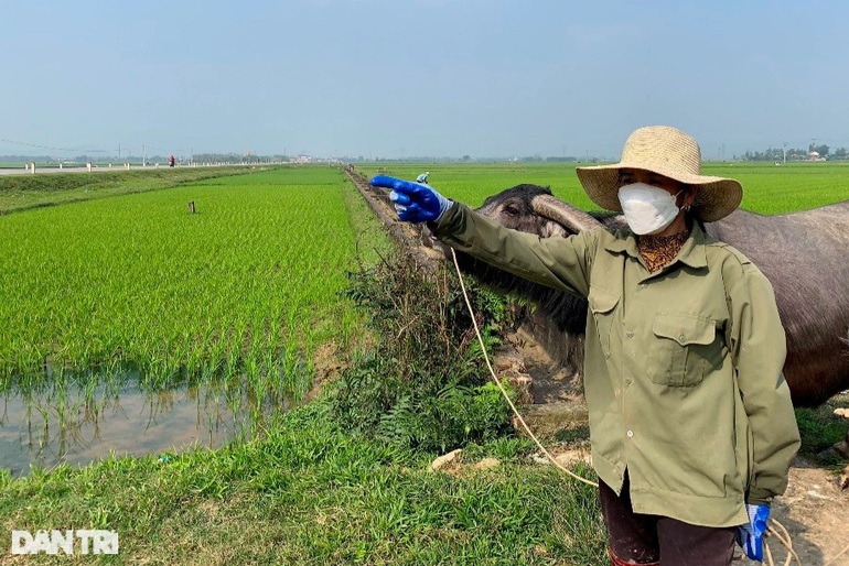 Địa ốc tuần qua: 3 tỷ đồng không mua nổi lô đất vẫn trồng lúa xanh rì ở quê