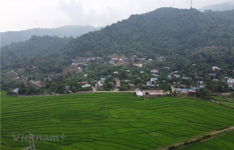 Hưng Yên, Hòa Bình, Cần Thơ được chuyển 130 hécta đất lúa làm dự án