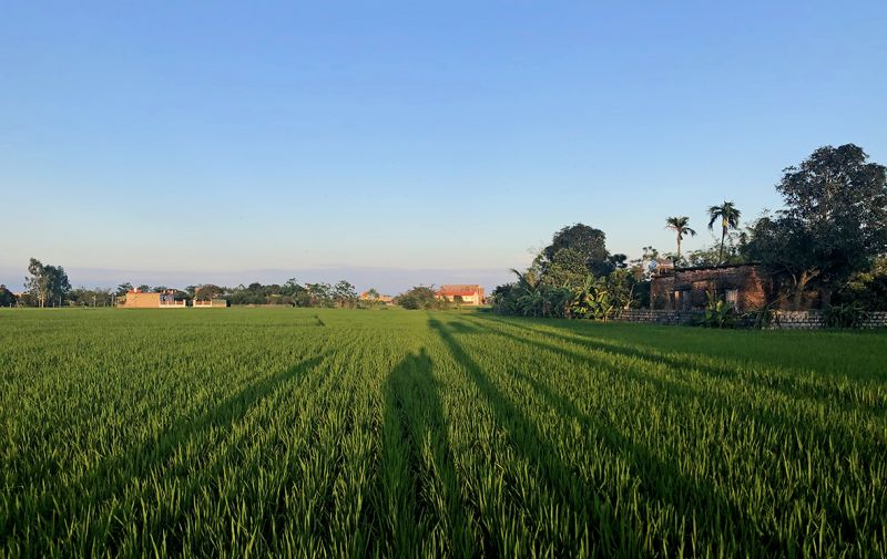 Bộ Tài chính chưa xây dựng dự thảo Luật đối với tài sản là nhà, đất