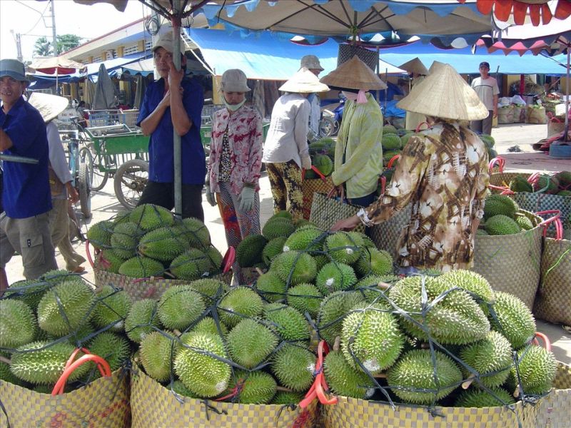 Mở lối đi mới cho vựa trái cây ĐBSCL: Liệu sầu riêng có thành sầu chung?