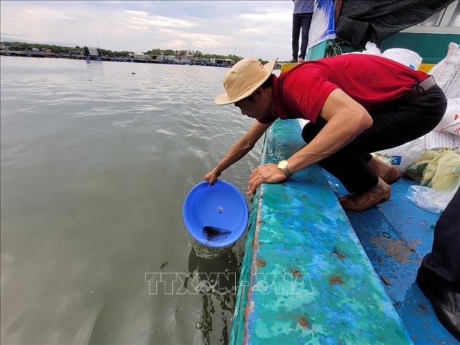 Áp dụng tiến bộ khoa học phát triển thủy sản bền vững