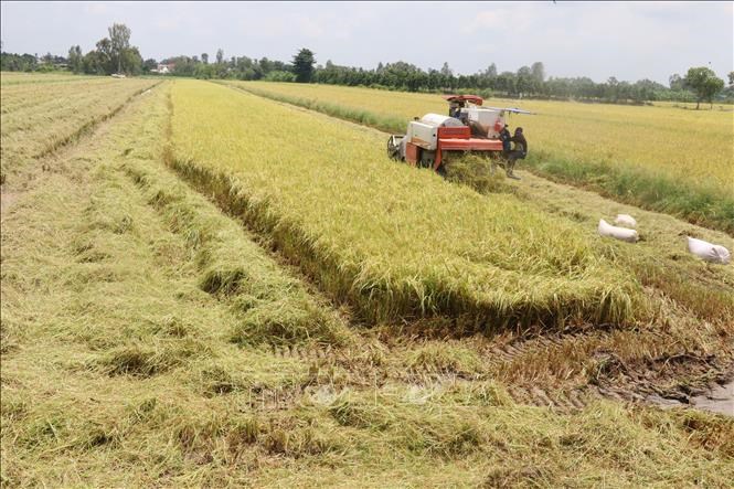 Chấp thuận chuyển mục đích sử dụng đất tại tỉnh Đồng Tháp