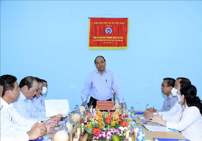 Chủ tịch nước thăm mô hình hợp tác xã tiêu biểu của tỉnh Tiền Giang