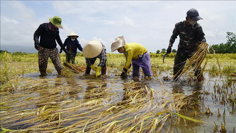 Thời tiết ngày 7/4: Nam Bộ mưa rào và dông