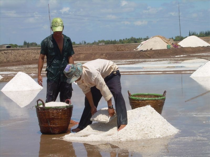 Bạc Liêu: Mưa trái mùa "thổi bay" gần 10.000 tấn muối chờ thu hoạch