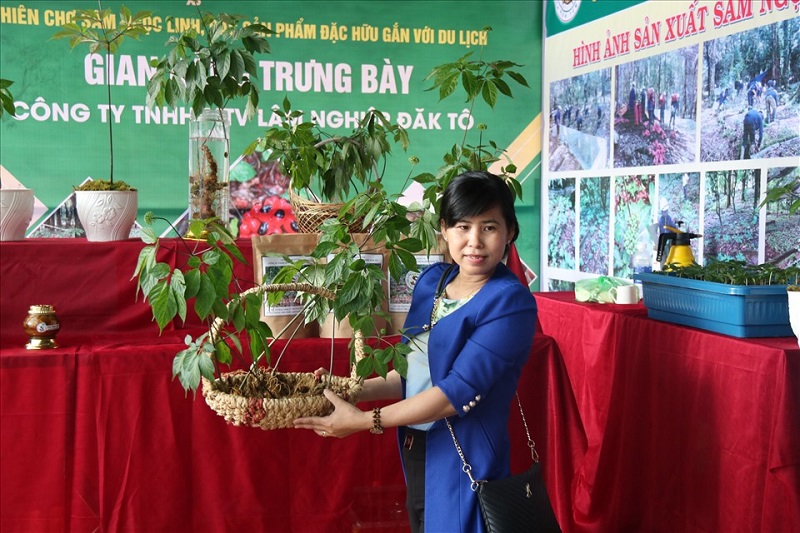 Hàng nghìn lượt người đến phiên chợ sâm Ngọc Linh ở miền núi Kon Tum