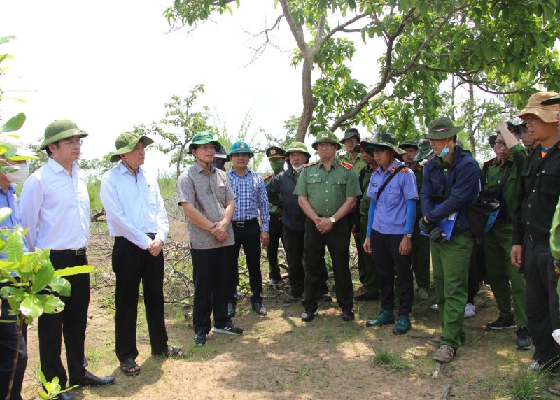 Vụ phá gần 400ha rừng: Khẩn trương điều tra, xử lý nghiêm, không có vùng cấm, ngoại lệ