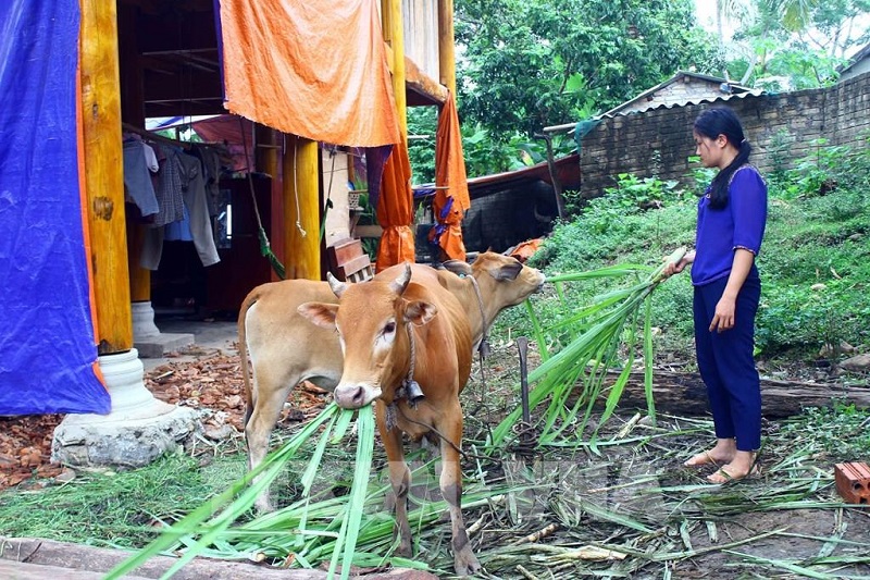 Hộ nghèo dân tộc thiểu số được vay hỗ trợ nhà ở tối đa bao nhiêu?