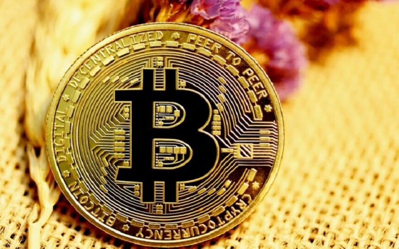 Giá Bitcoin hôm nay 25/5: Bitcoin vùng lên giữa nỗi lo sụp đổ