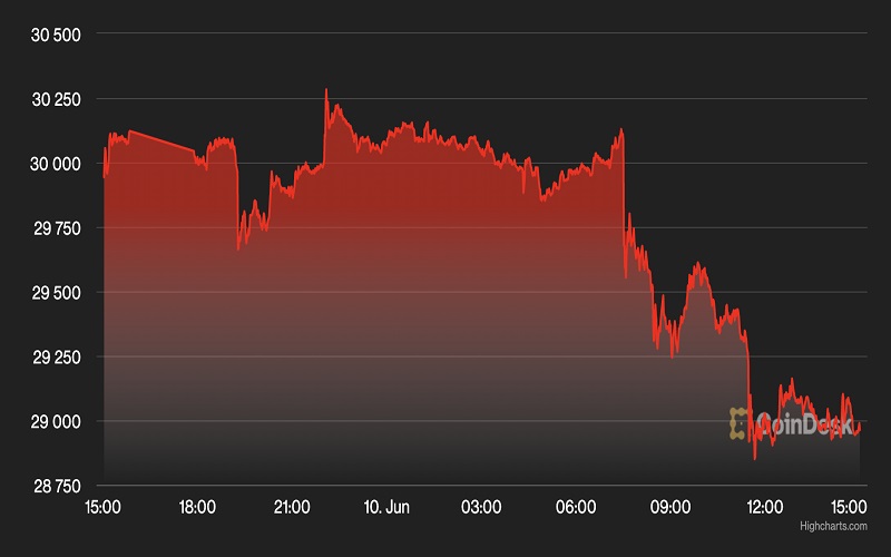 Giá Bitcoin hôm nay 11/6: Giảm sâu xuống gần 29.000 USD