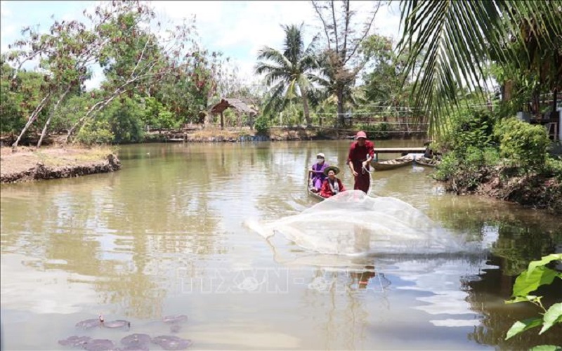 Phát huy thế mạnh du lịch sinh thái 'Xứ Dừa Bến Tre'