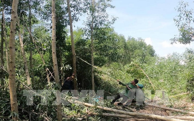 Phát triển kinh tế tuần hoàn: Cần ưu đãi cho doanh nghiệp bảo vệ môi trường