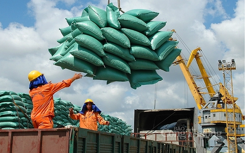 Xuất khẩu gạo cần tiếp tục theo dõi chặt những biến động của thị trường chủ lực