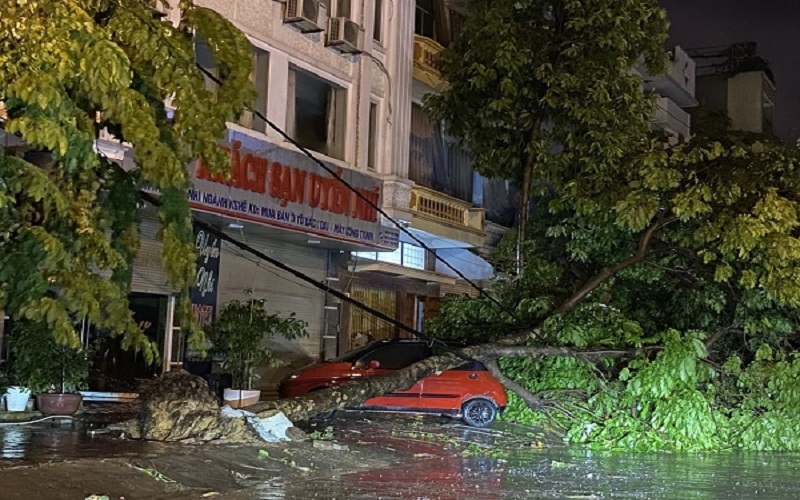 Mưa lớn bất thường gây nhiều thiệt hại cho người dân ở Lào Cai