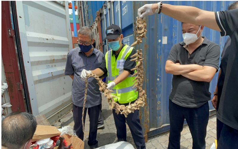 Hải quan TPHCM đề nghị Công an khởi tố 27 vụ nhập khẩu hàng vi phạm Ngày đăng: 09/08/2022 09:39