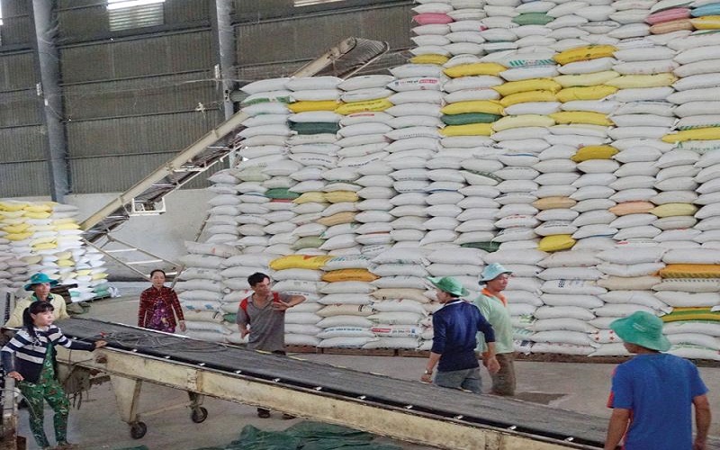 Trong tháng 07/2022 cả nước xuất khẩu gần 600.000 tấn gạo