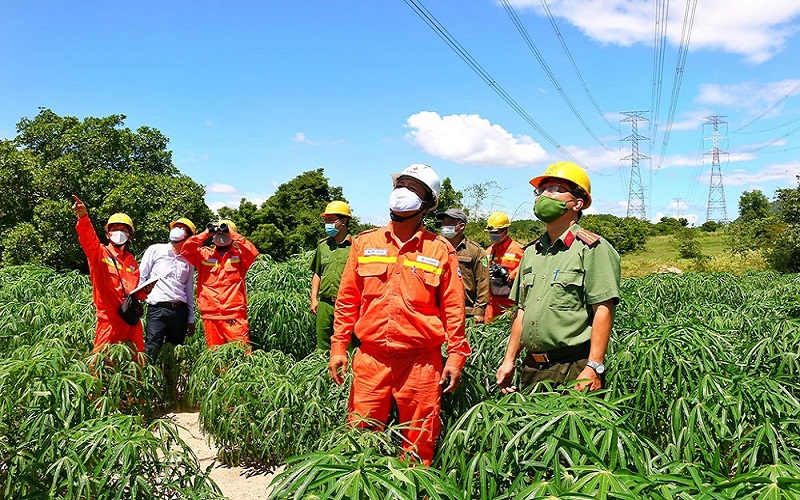 EVN đã đảm bảo cung cấp điện an toàn, ổn định trong dịp Lễ Quốc khánh