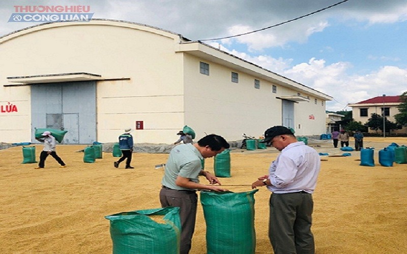 Trên 1.374 tấn gạo hỗ trợ nhân dân hai tỉnh Bình Định và Phú Yên