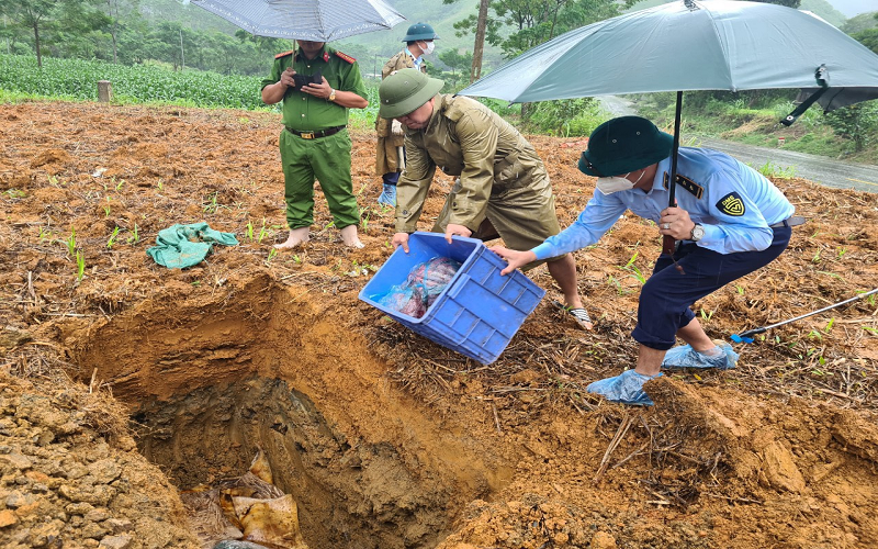 Sơn La: Kiểm tra, xử lý phương tiện vận chuyển sản phẩm động vật không rõ nguồn gốc xuất xứ
