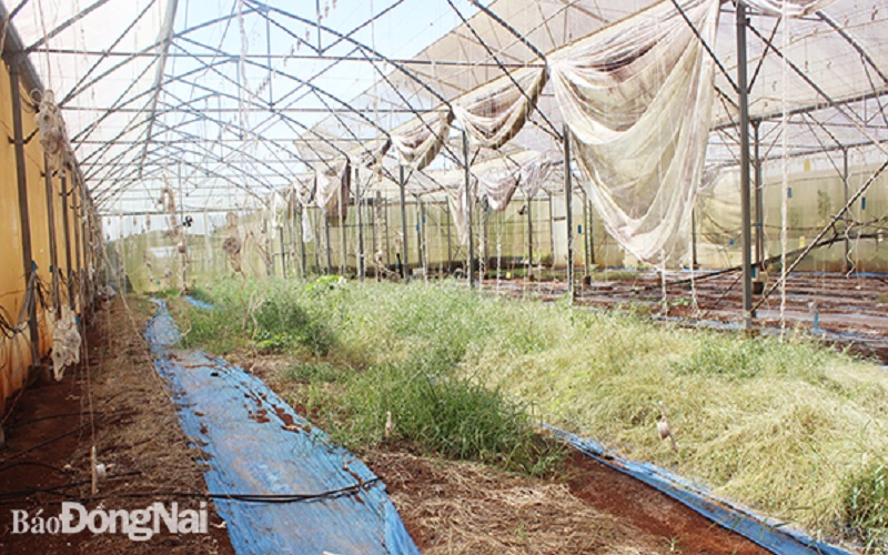 Đề xuất chuyển đổi Khu công nghệ cao công nghệ sinh học Đồng Nai