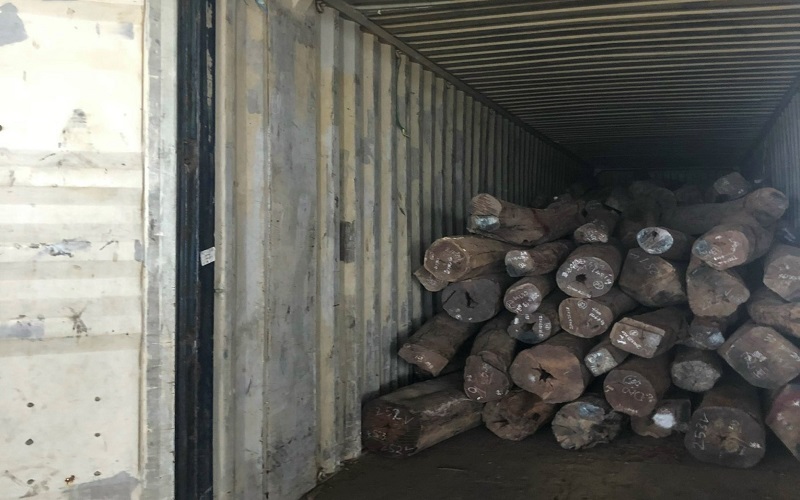 Khởi tố vụ buôn lậu 28 m3 gỗ quý