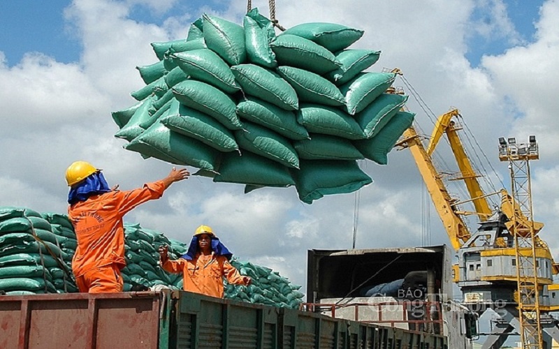 Gạo Việt Nam chinh phục thị trường khó tính