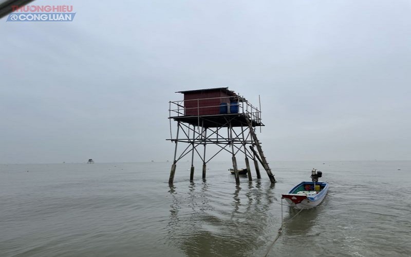 UBND huyện Tiên Lãng thông báo về việc xác minh chủ đang sử dụng hoặc sở hữu các chòi canh nuôi trồng thủy sản khu vực Cồn Đông