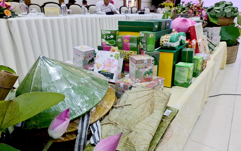 Đồng Tháp nâng cao chuỗi giá trị từ sản phẩm sen