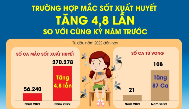 Số ca mắc sốt xuất huyết tăng 4,8 lần so với năm trước