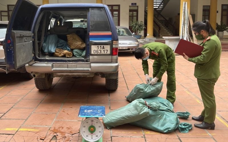 Cao Bằng bắt giữ phương tiện chở 02 tạ đuôi trâu đông lạnh không rõ nguồn gốc