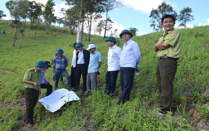 Kon Tum trồng hơn 1.586 nghìn cây phân tán, đạt 263,7% kế hoạch