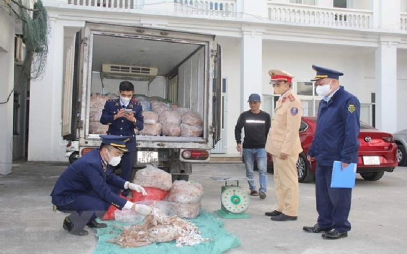 Phát hiện, thu giữ 1,4 tấn bì lợn không có nguồn gốc