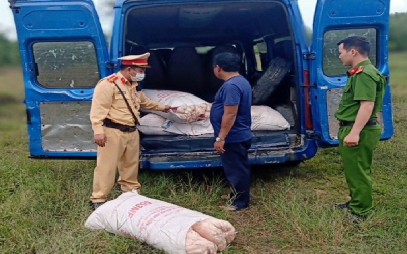 Liên tiếp bắt giữ các trường hợp vận chuyển mỡ động vật không rõ nguồn gốc tại Quảng Nam