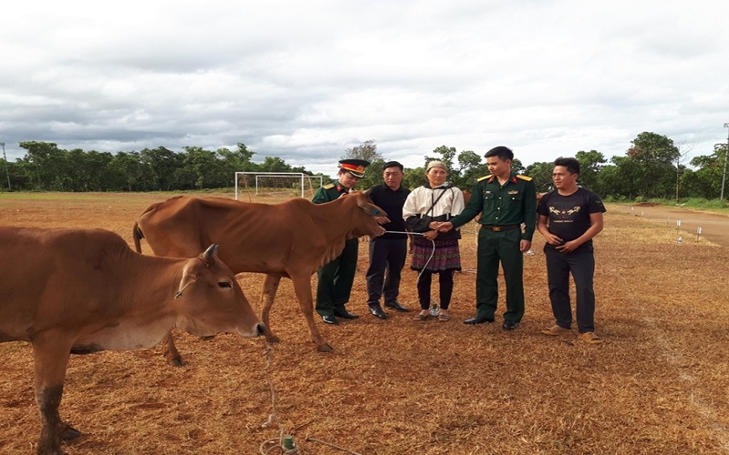 Niềm vui nhận bò giống ngày đầu năm mới