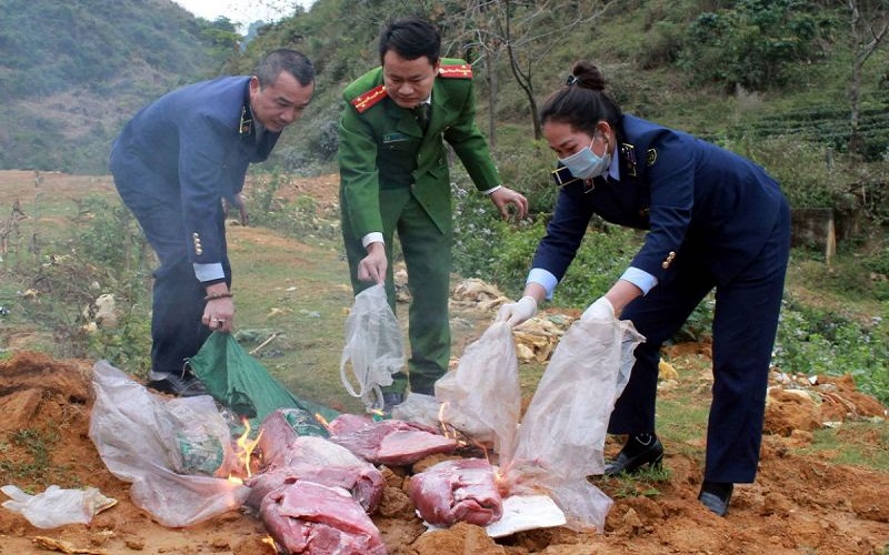 Thu giữ 120kg thịt trâu đông lạnh không rõ nguồn gốc