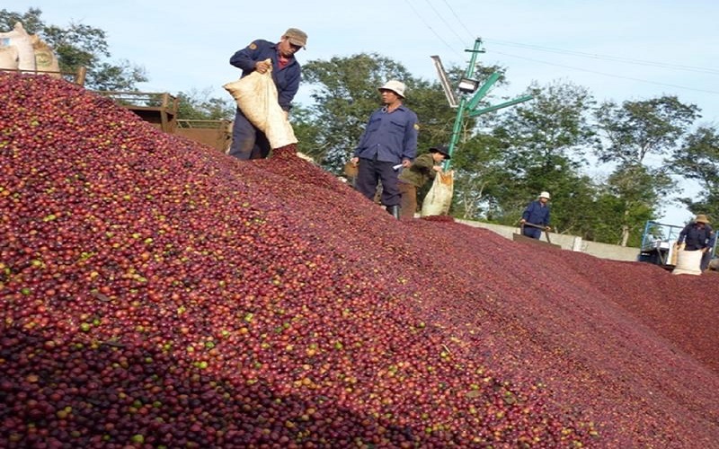 Điểm tên những mặt hàng xuất khẩu tiềm năng sang thị trường Mexico