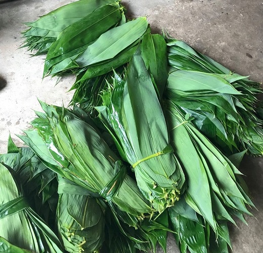 Nhiều loại lá của Việt Nam tiếp tục được xuất khẩu thu về trên 8 triệu USD
