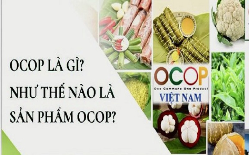 Bộ tiêu chí và quy trình đánh giá, phân hạng sản phẩm Chương trình mỗi xã một sản phẩm