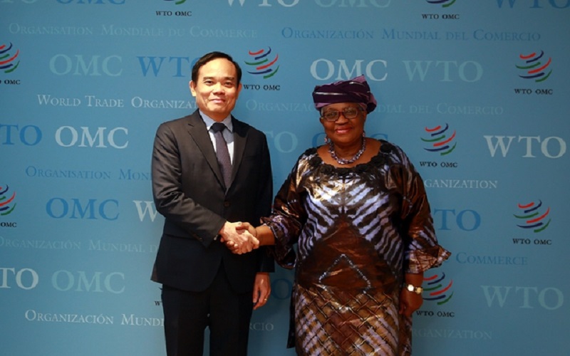 WTO mong Việt Nam là nước đầu tiên phê chuẩn Hiệp định nghề cá